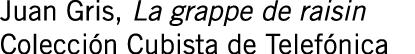 Juan Gris, La grappe de raisin Colección Cubista de Telefónica