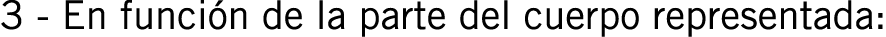 3 - En función de la parte del cuerpo representada: