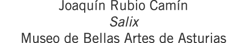 Joaquín Rubio Camín Salix Museo de Bellas Artes de Asturias