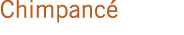 Chimpancé