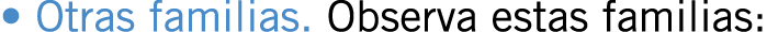• Otras familias. Observa estas familias: