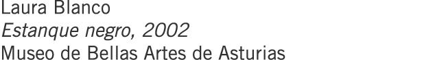 Laura Blanco Estanque negro, 2002 Museo de Bellas Artes de Asturias
