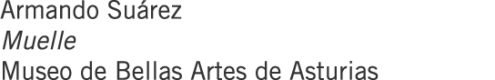 Armando Suárez Muelle Museo de Bellas Artes de Asturias