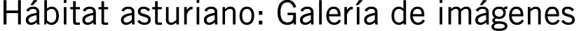 Hábitat asturiano: Galería de imágenes