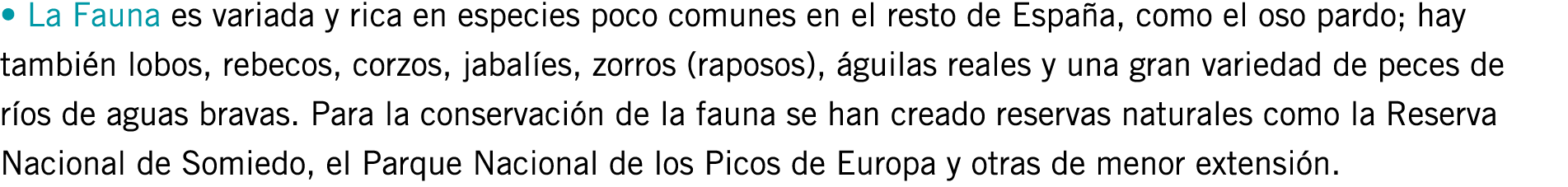 • La Fauna es variada y rica en especies poco comunes en el resto de España, como el oso pardo; hay también lobos, re...