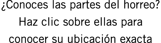 ¿Conoces las partes del horreo? Haz clic sobre ellas para conocer su ubicación exacta