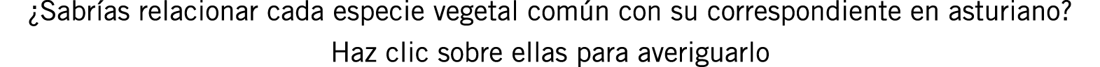 ¿Sabrías relacionar cada especie vegetal común con su correspondiente en asturiano? Haz clic sobre ellas para averigu...