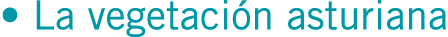 • La vegetación asturiana