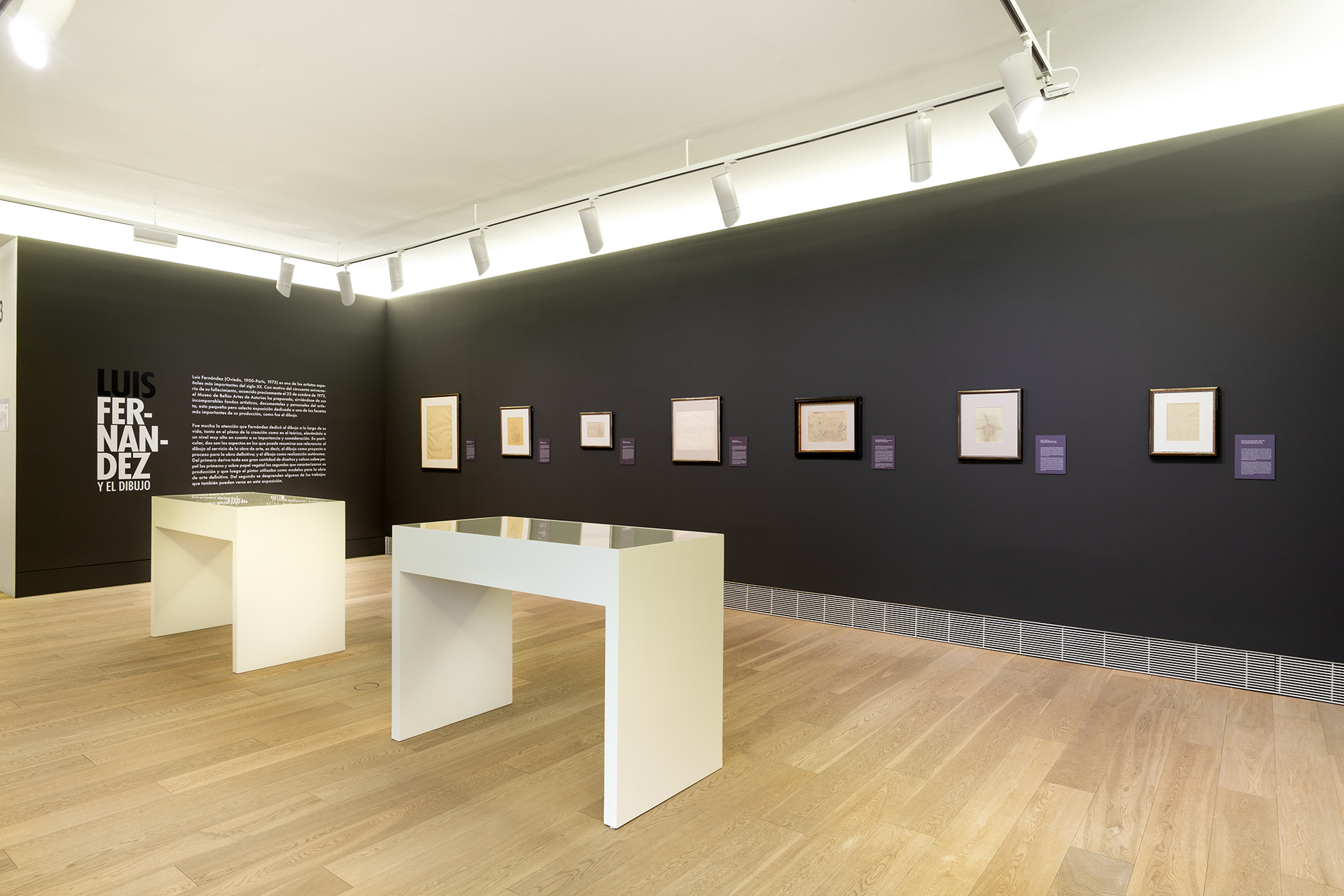 Luis Hernando Fotografía y Creación Audiovisual