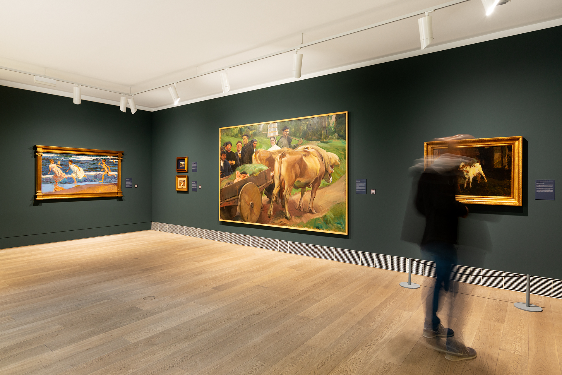 Luis Hernando Fotografía y Creación Audiovisual