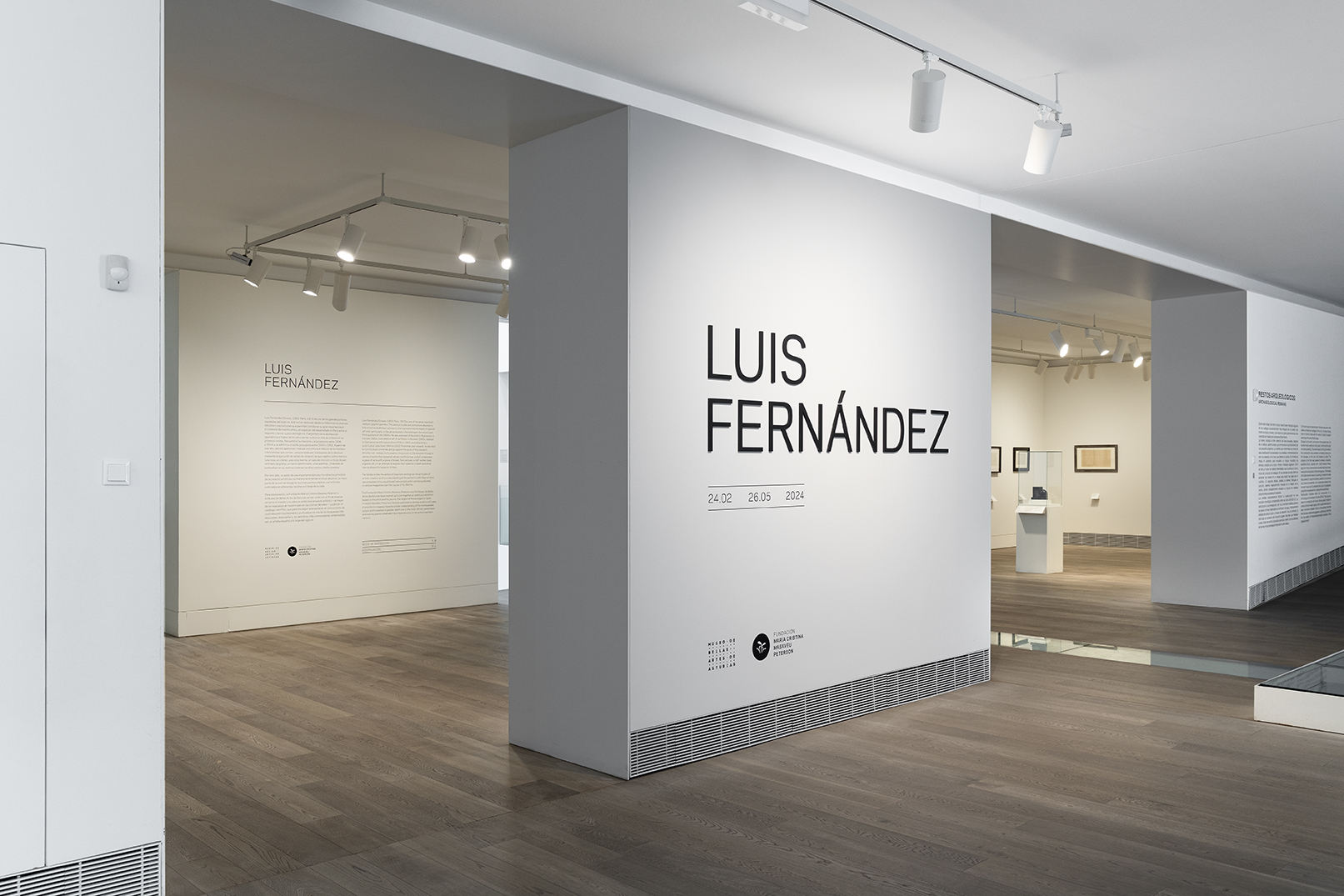 MBBAA LuisFernandez 001 en baja