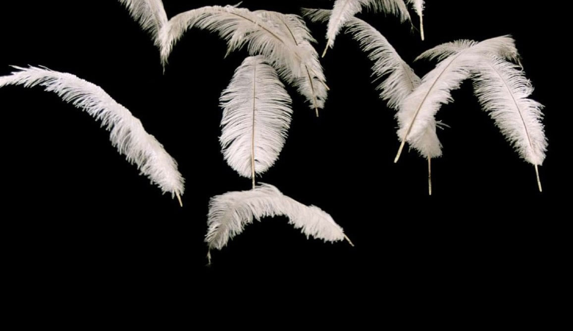 Día Internacional de la Mujer 2024